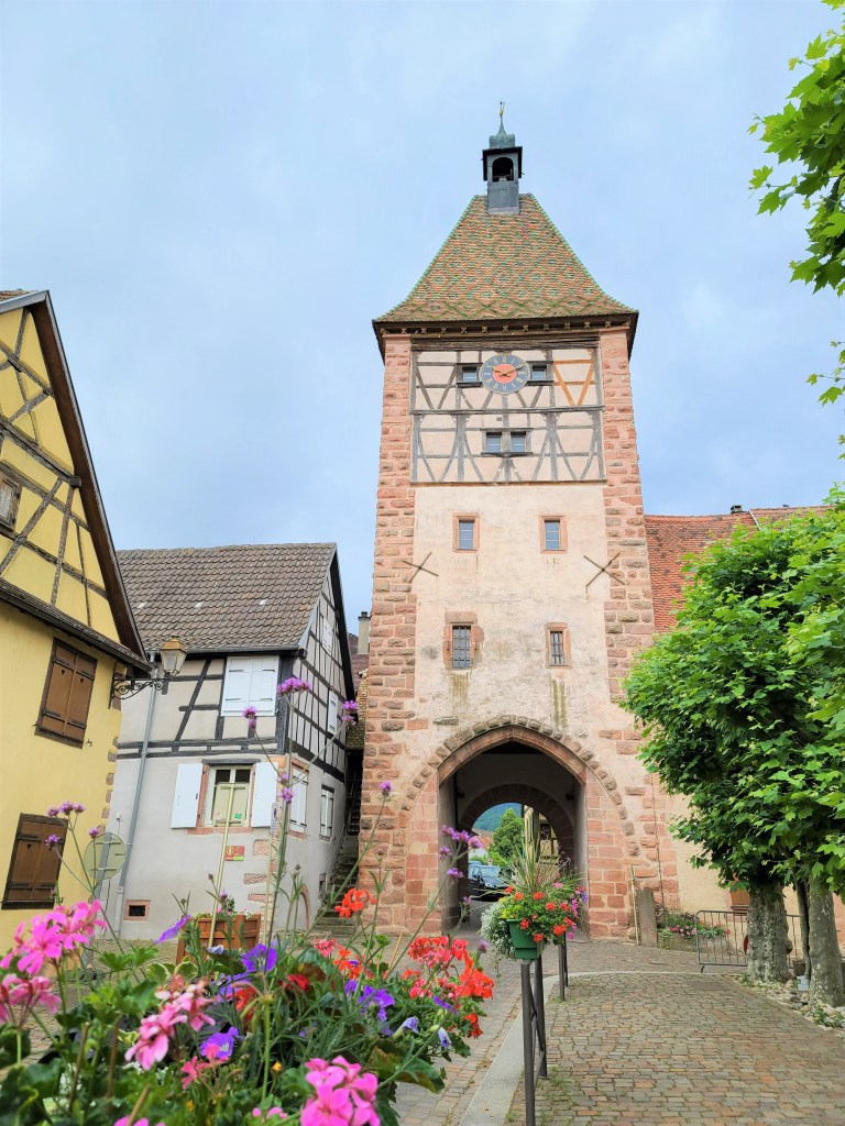 3 Days on the Alsace Wine Route