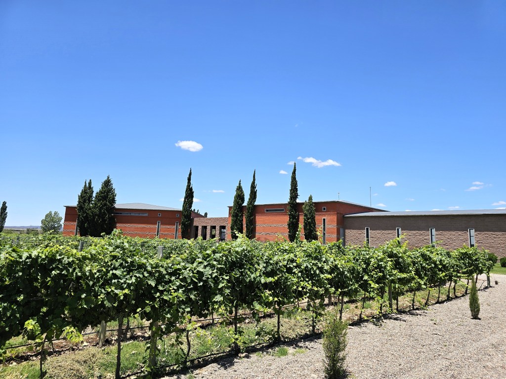 Best Wineries in Mendoza